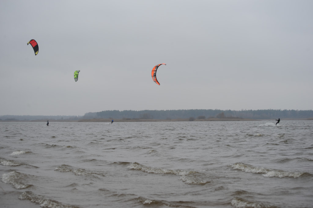 Domaniow2016120850.JPG