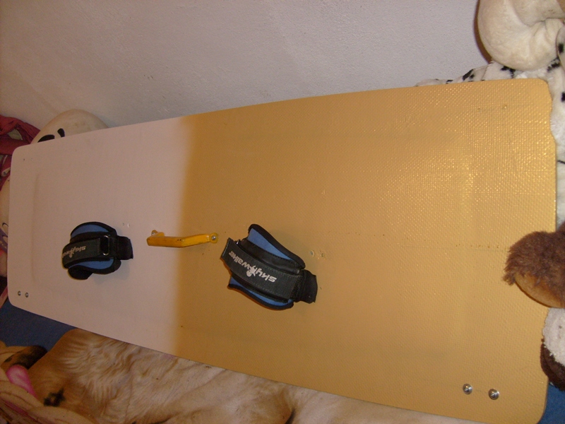 S6305289.JPG