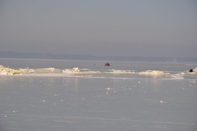DSC_6823.JPG