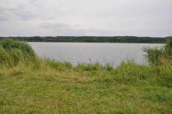DSC_1814.jpg