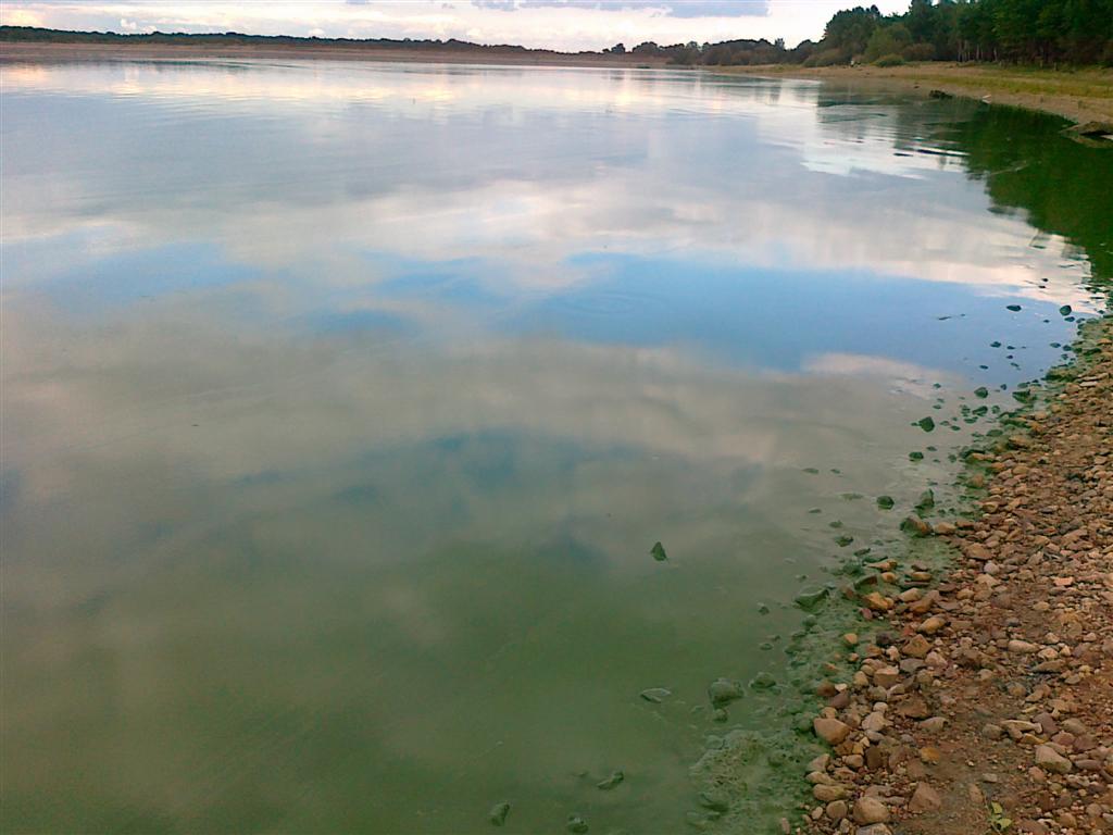 220720121870 (Large).jpg