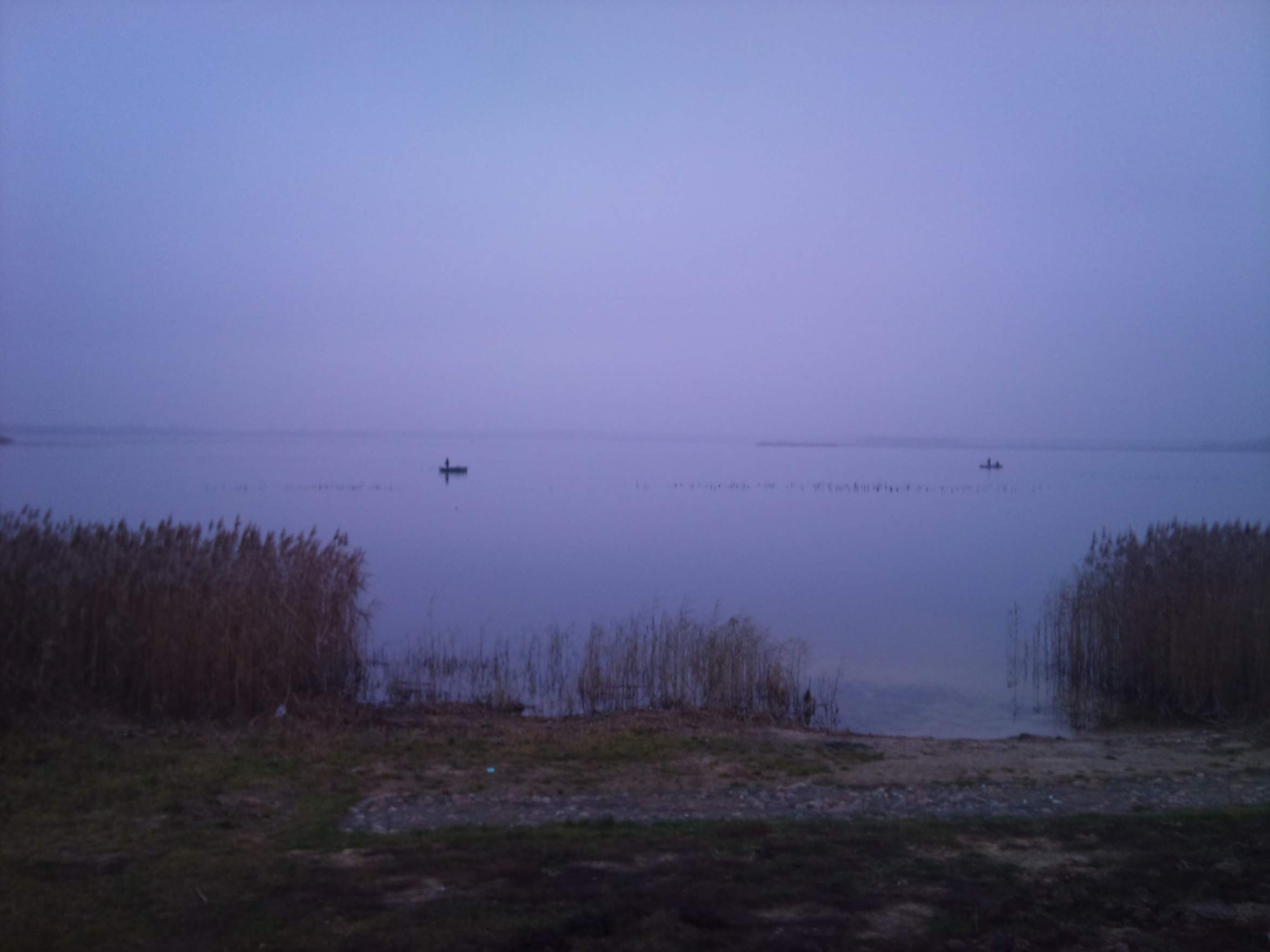 DSC_0505.jpg