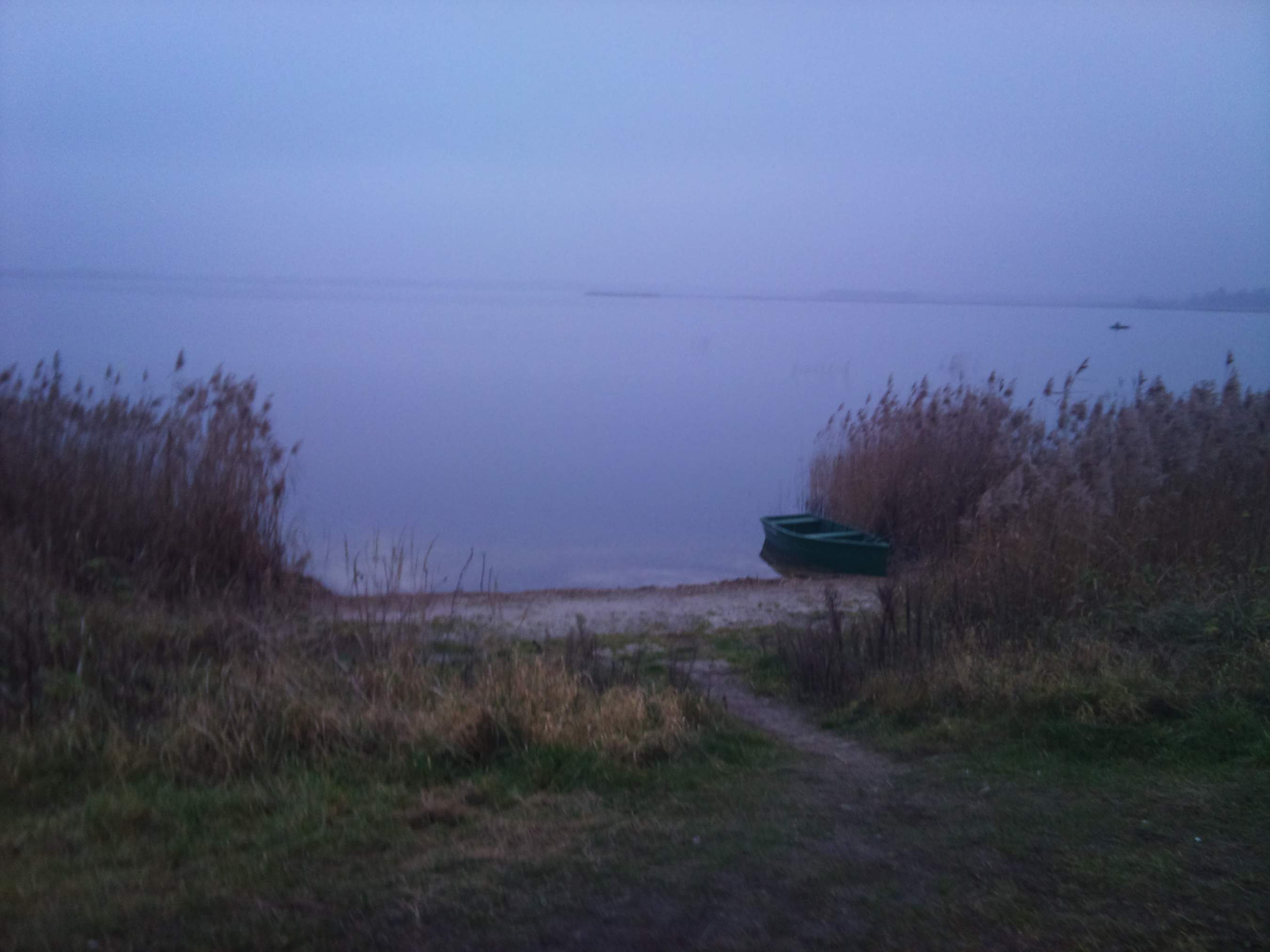 DSC_0508.jpg