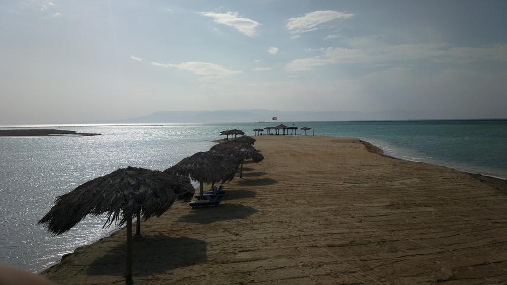 paradise2.jpg