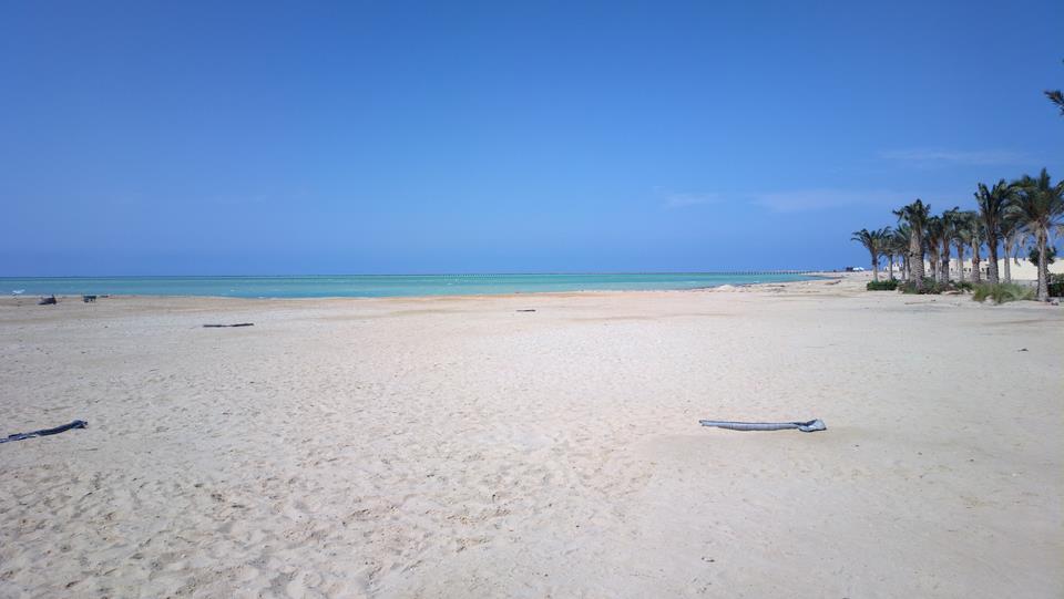 paradise8.jpg
