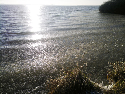 2013-12-21-659.jpg