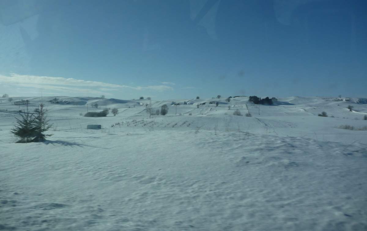 P1000053.JPG