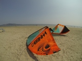 csb2012.jpg