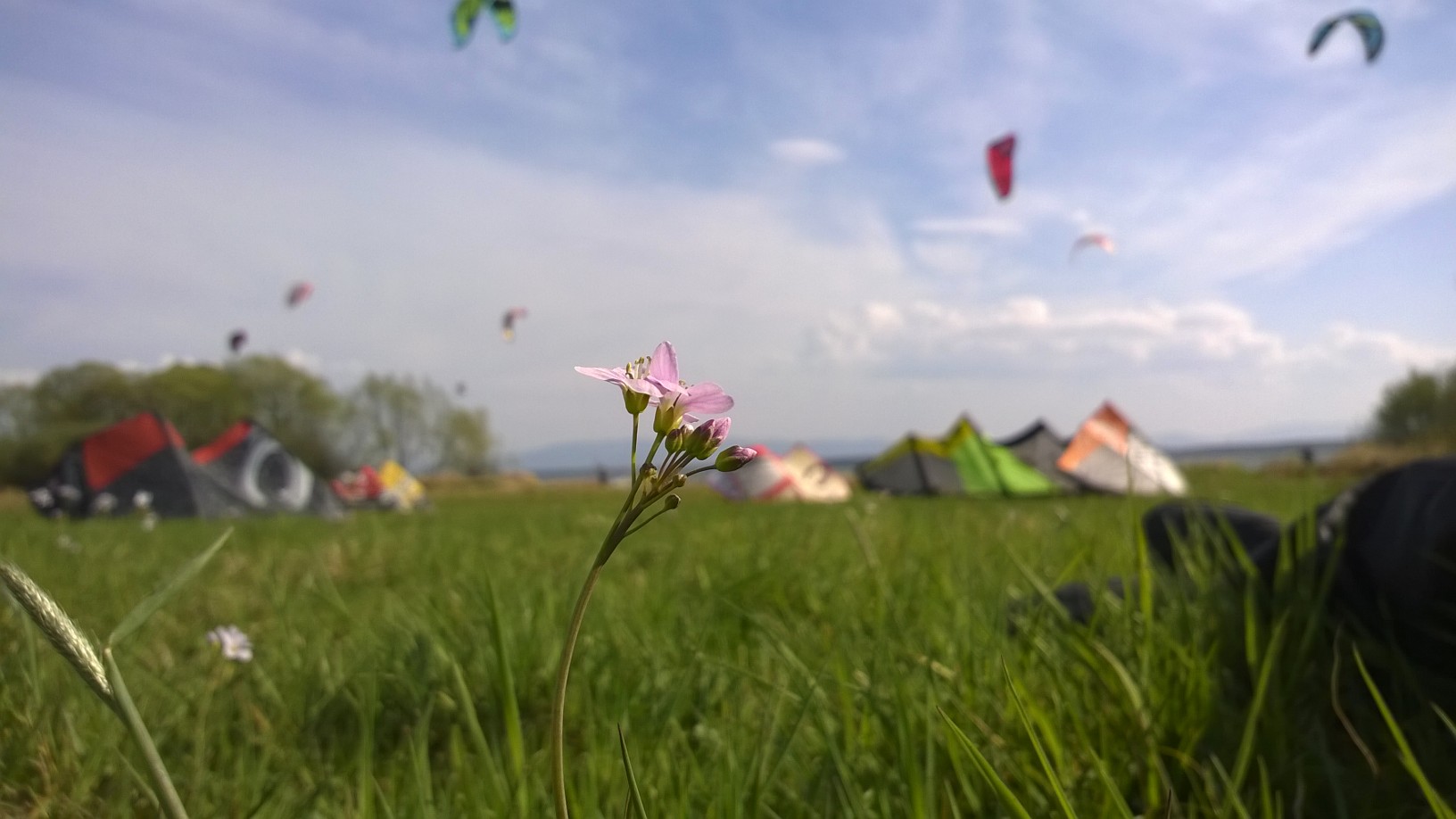 kite 1.jpg