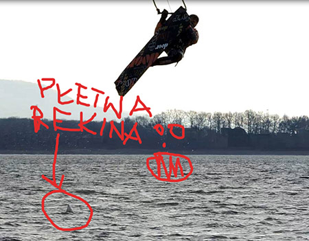rekin.jpg