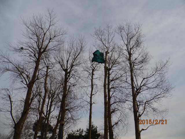 IMG_0820aaa.jpg