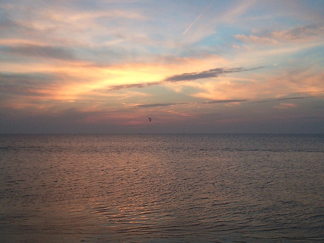 DSC_0524aaaa.jpg