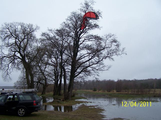 l1.jpg
