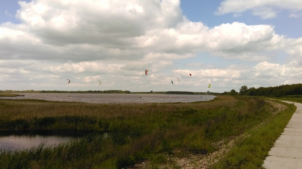IMAG0066-001.jpg